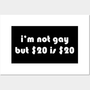 i’m not gay but $20 is $20 Posters and Art